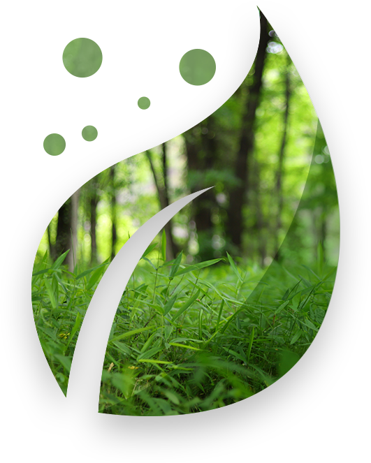 Environmentally sustainability Eco Leaf